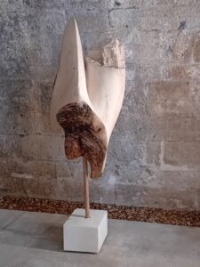 Sculpture Philippe Ardy "Whale", Peuplier, 2025
