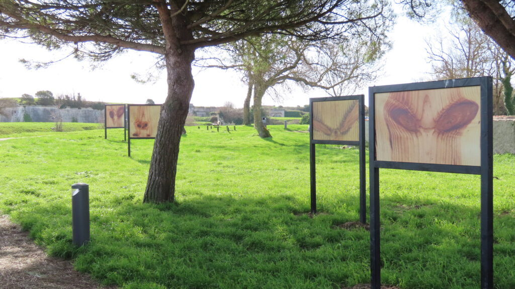 Cartel Installation Œilarbres Château d'Oléron 2026 Installation Œilarbres Château d'Oléron 2026
