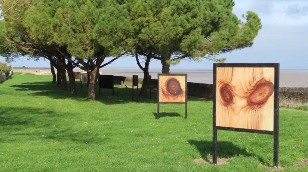 Cartel Installation Œilarbres Château d'Oléron 2026 bis Cartel Installation Œilarbres Château d'Oléron 2026 bis