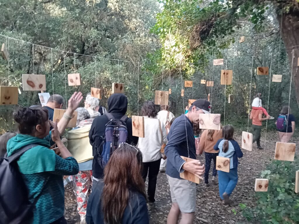 Atrium Œillarbres 12 juin 2026 - Nuits des forêts